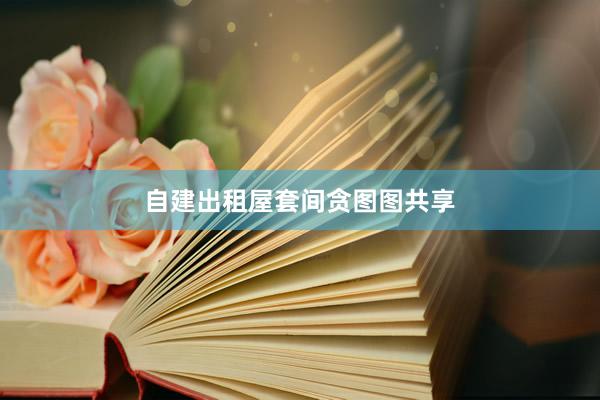 自建出租屋套间贪图图共享