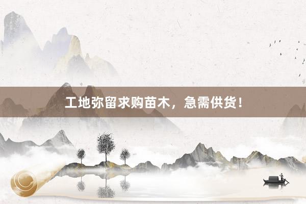 工地弥留求购苗木，急需供货！