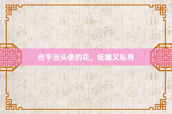 合乎当头像的花，妩媚又私有